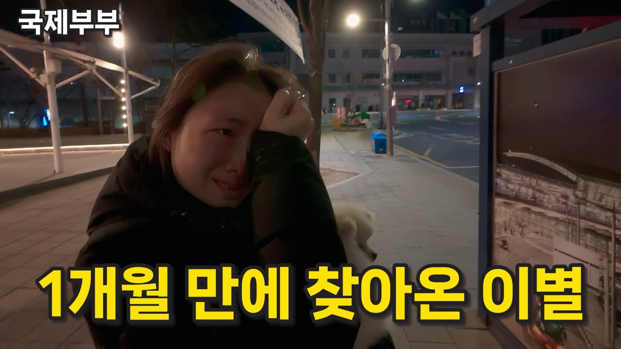 국제부부 이별의 과정, 장모님 떠나던 날 (감동파괴주의)
