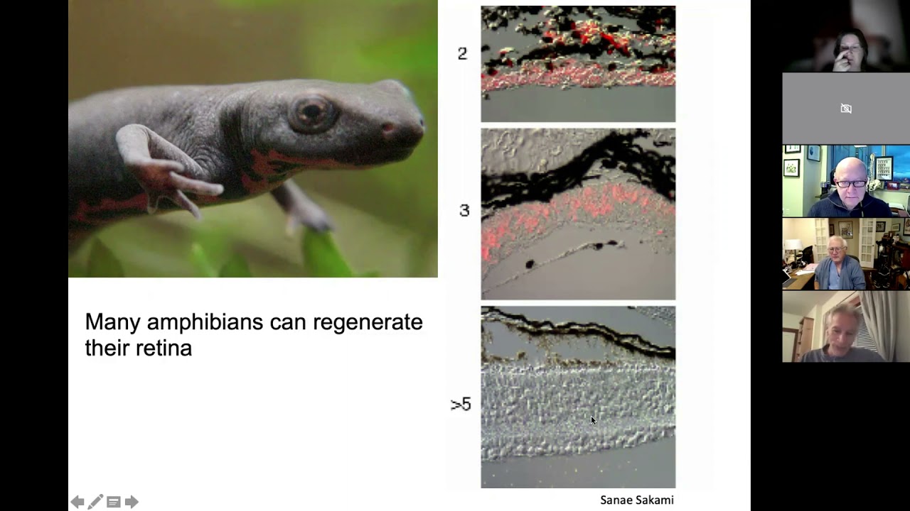 10.13.2021 Thomas A. Reh, PhD