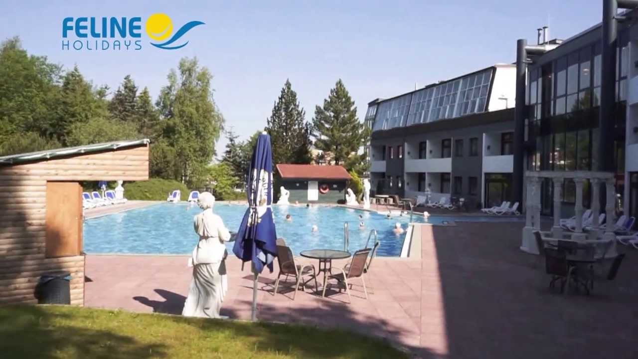 Hotel des Nordens - Feline Holidays