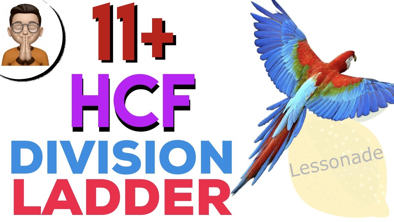 11 plus maths-(HCF) Highest Common Factor for two numbers using Division Ladder | Lessonade