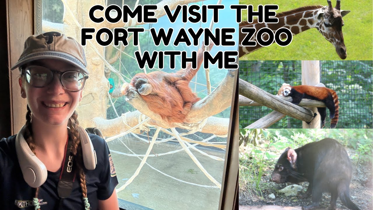 Fort Wayne Zoo Tour Vlog || June 2025 | Nowhalle