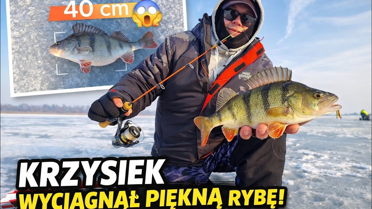 TAKIE RYBY POD LODEM?! #fish #perch #adventure #icefishing