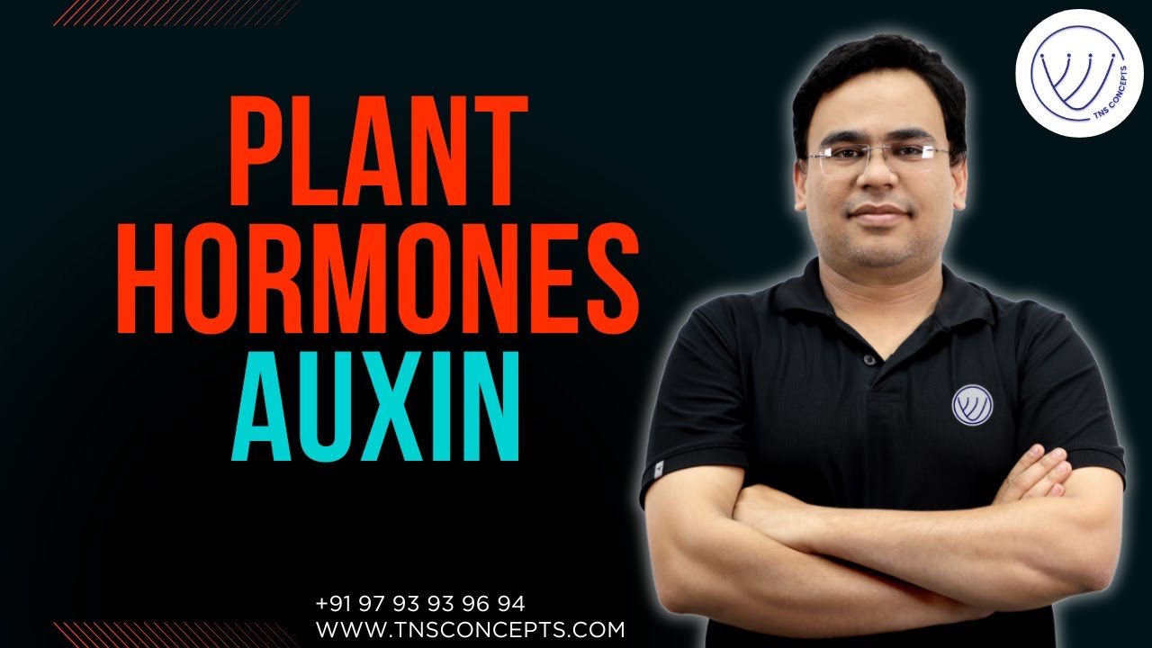 AUXIN HORMONE | PLANT HORMONES | CSIR NET LIFE SCIENCE | TNS CONCEPTS