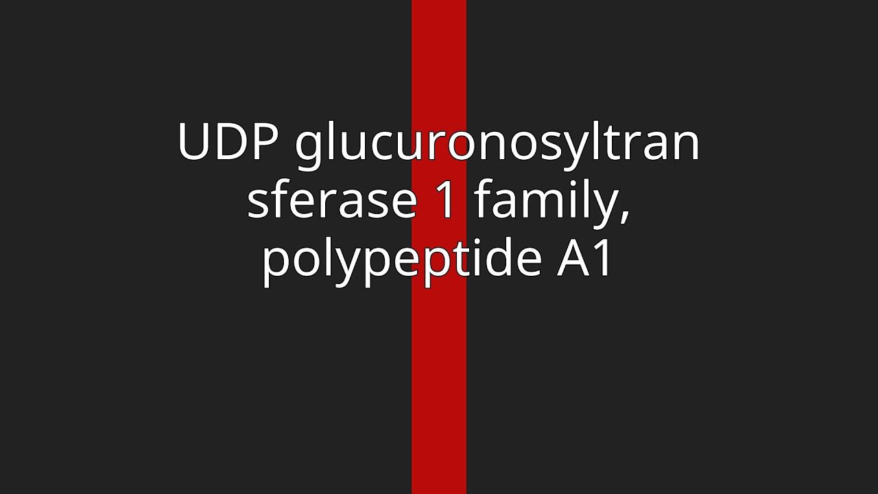 UDP glucuronosyltransferase 1 family, polypeptide A1