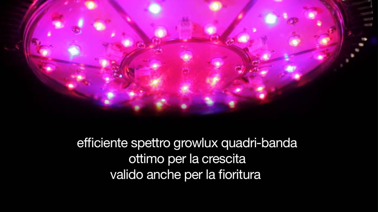ORTOLED UFO 90W