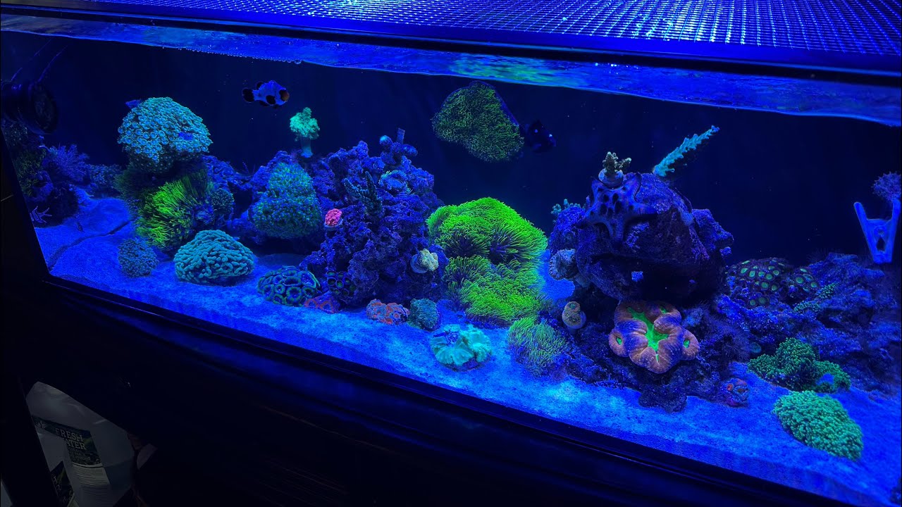 New innovative marine 40L Aio update#1