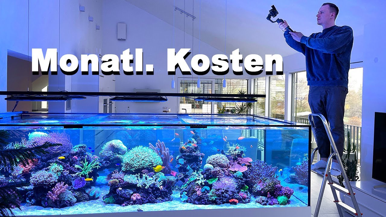 Luxusaquarium? - So viel kostet es wirklich - 4000 Liter MEERWASSERAQUARIUM *monatliche Kosten*