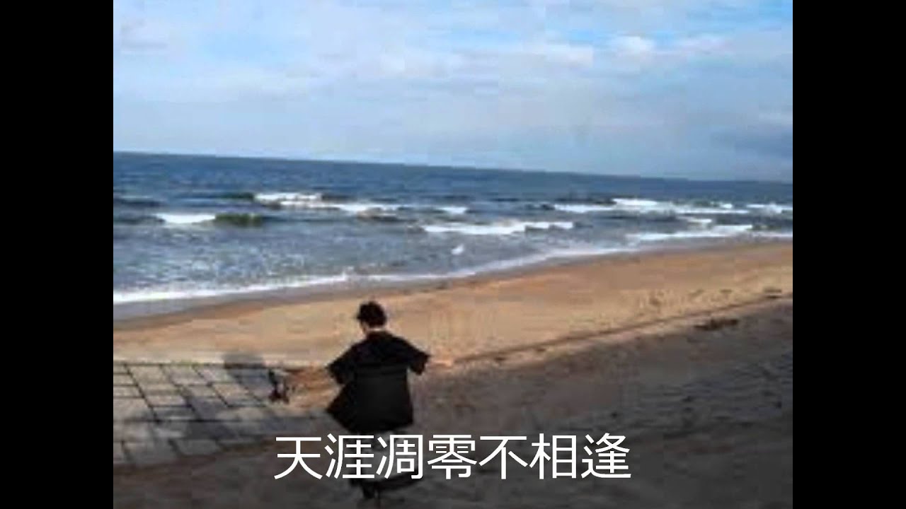 夕阳红－张露