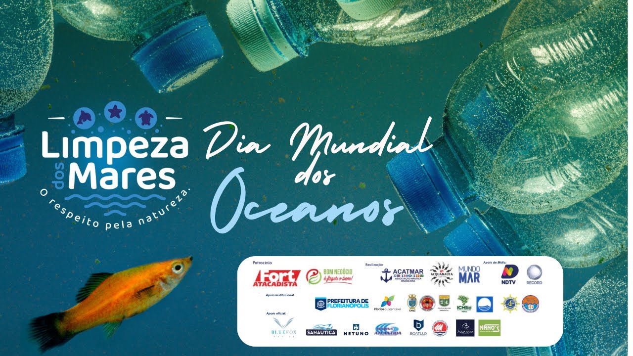Dia Mundial dos Oceanos   Limpeza dos Mares