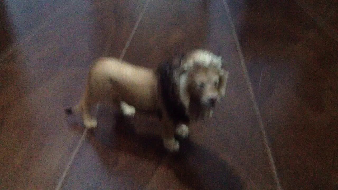 Spirit Of The Lion Cougar Fight Scene - Stop Motion Version