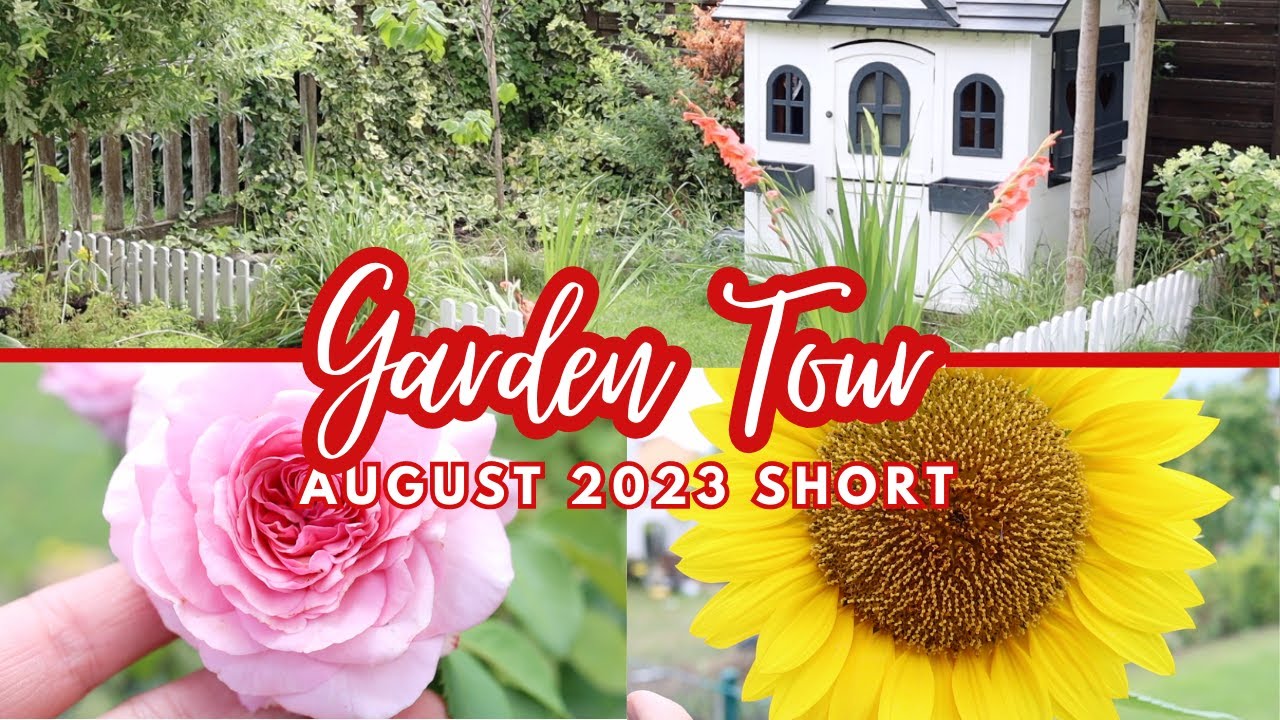 A realistic small Garden in Germany in 3 Minutes - Flowers, Trees and Bugs in August 2023
