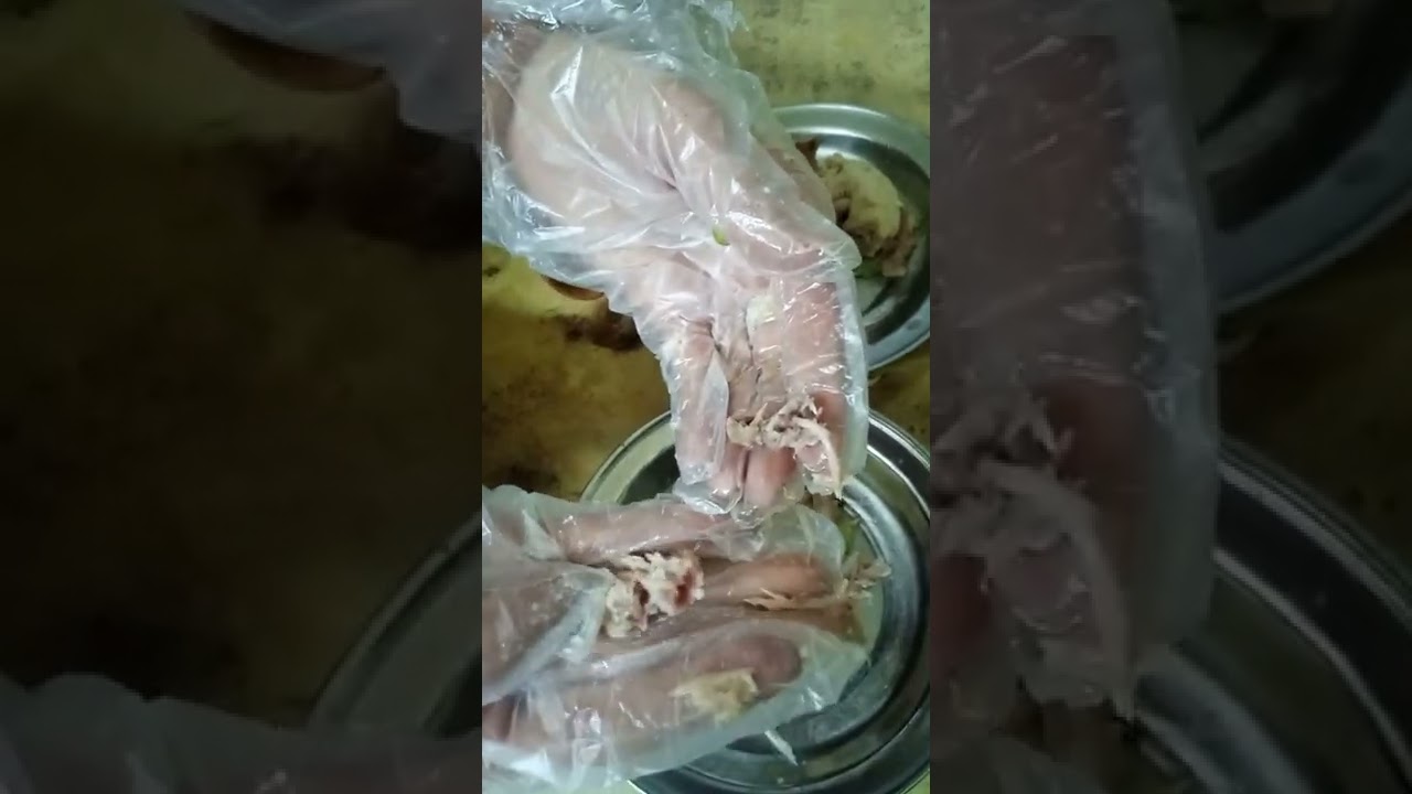 فيديو هاااام جدا لكل مربي قطط🐈 هل تقديم العظم🦴للقطط🐈 مفيد 🤔