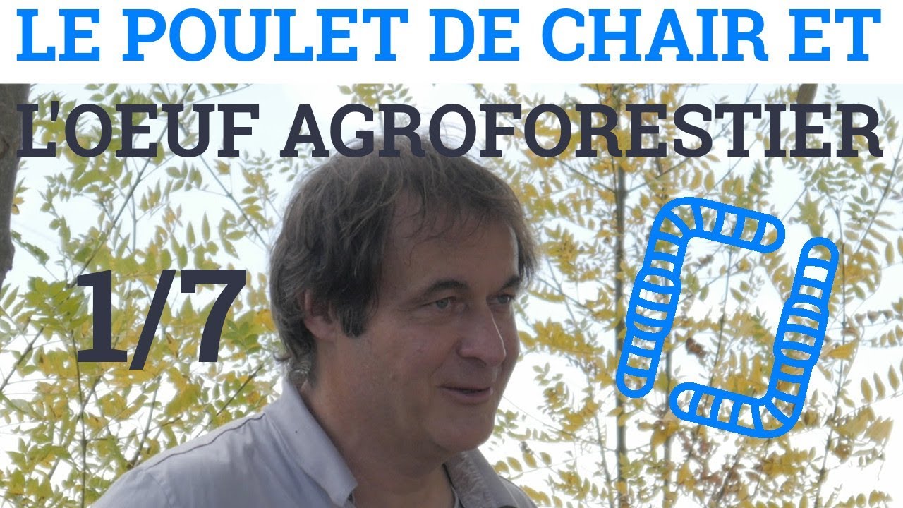 1/7 - Alain CANET - Le Poulet de Chair et l'Oeuf Agroforestier : L'Arbre