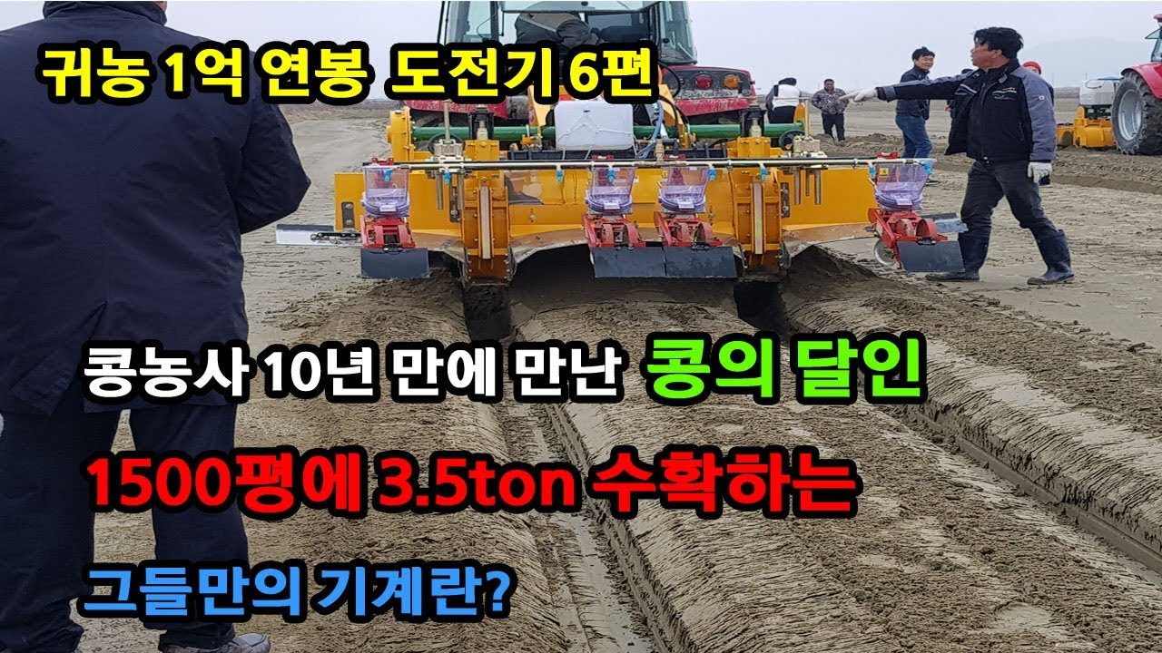 귀농 1억 연봉 도전기 6편 [ 콩 농사 1500평 3,5톤 하는 사람들]Soybean cultivation