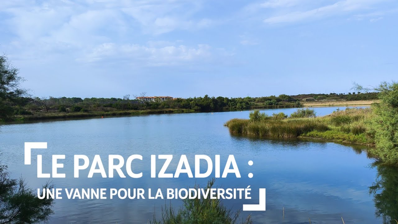 Le parc Izadia : une vanne pour la biodiversité