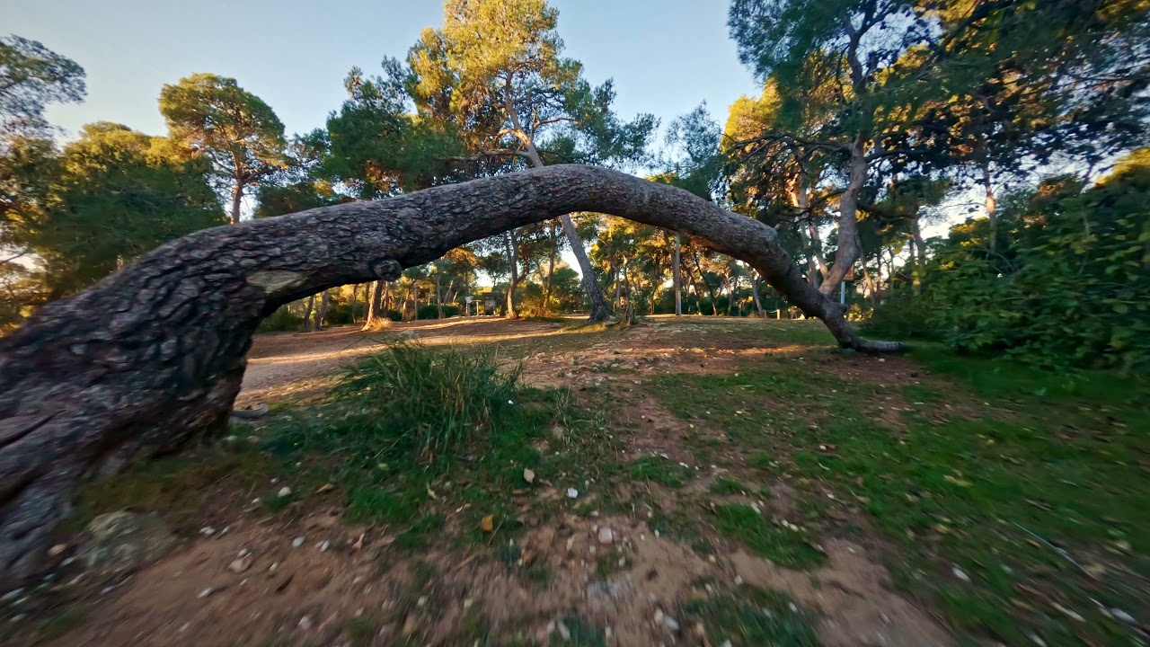 Parc Vedat