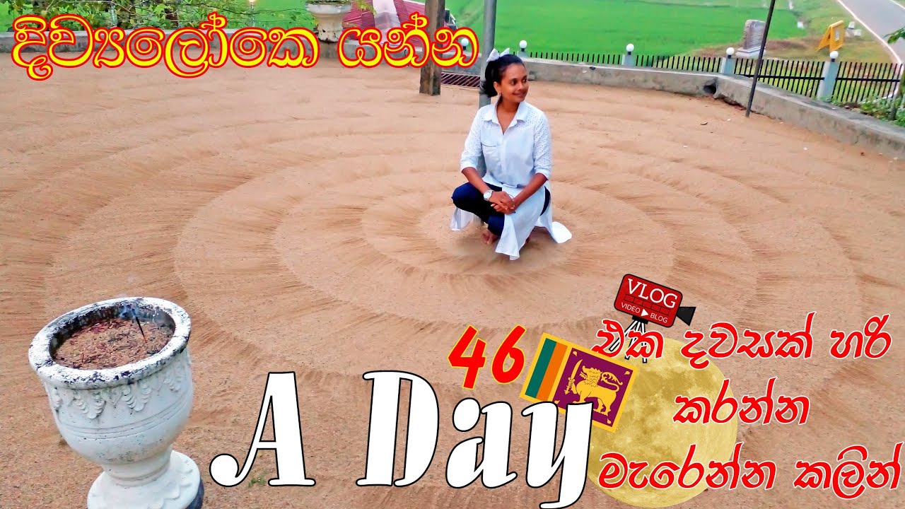 වැඩ ගොඩක් එක්ක මගේ තවත් දවසක් vlog sinhala | shopping vlog | day in life 