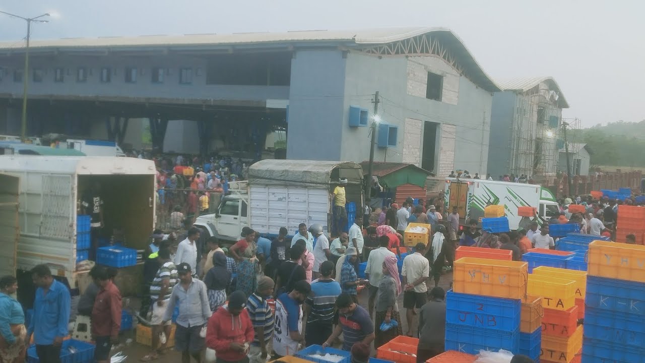 machhi Market#real video#Goa#madgaon machhi Market#🐟🐟🐟🐟 aur bhi dekhne ko