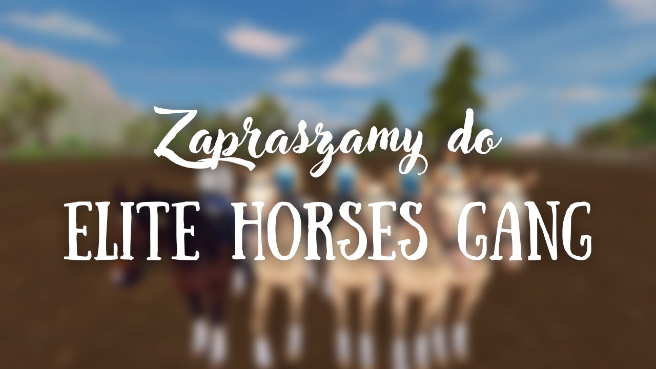 Zapraszamy do EHG! || Elite Horses Gang otwiera rekrutację 💎