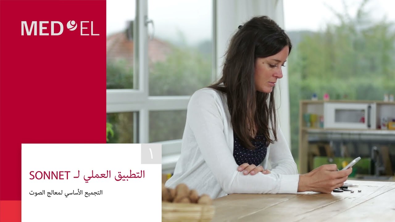 التطبيق العملي (1) لـ SONNET: التجميع الأساسي لمعالج الصوت