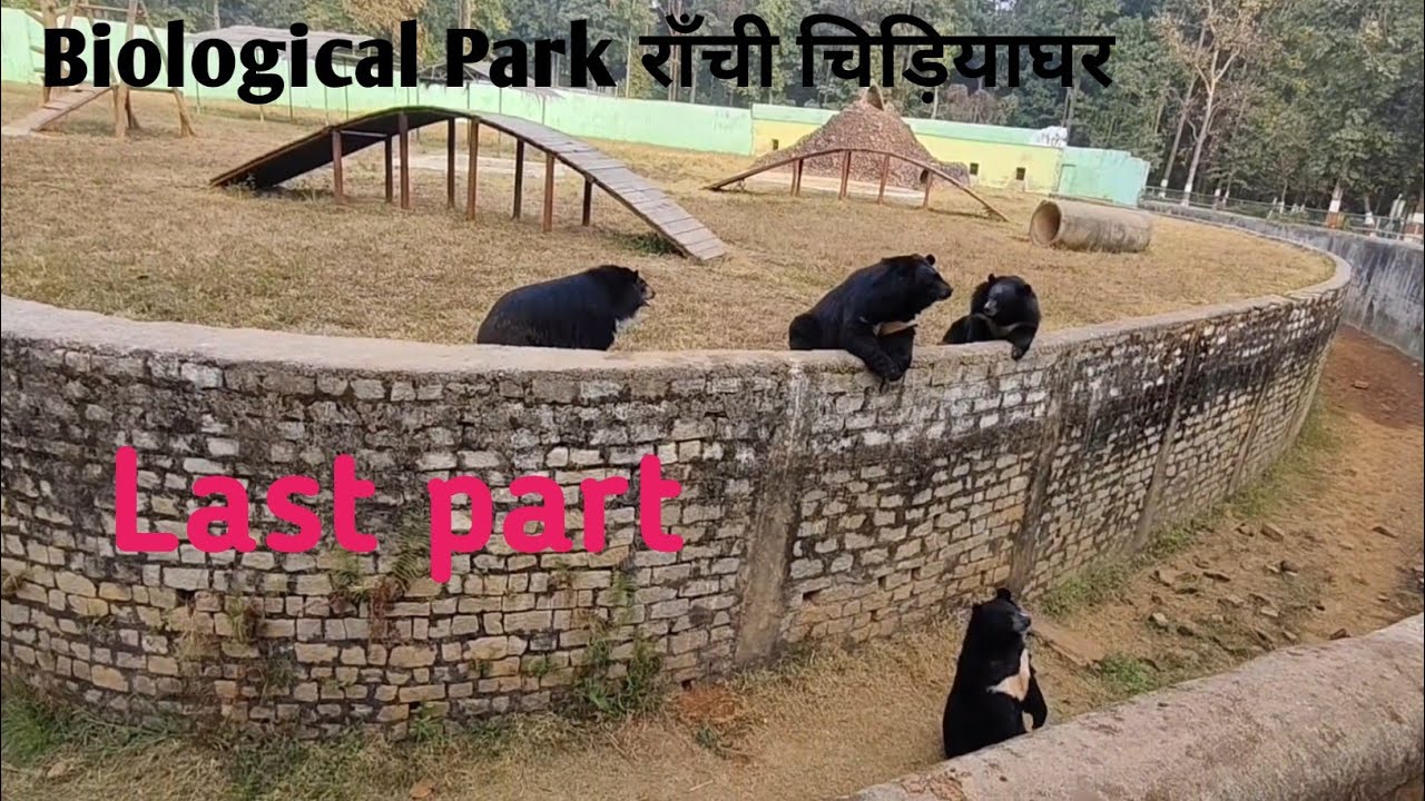 Ranchi चिड़ियाँ घर Ormanjhi 🐘🐼🐯 Part -3 ll Bhagwan Birsha Biological Park Ranchi Last Part