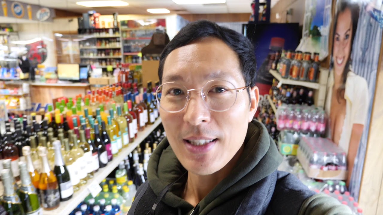 Minetom Store 48 Feet Best Outdoor String Lights Review