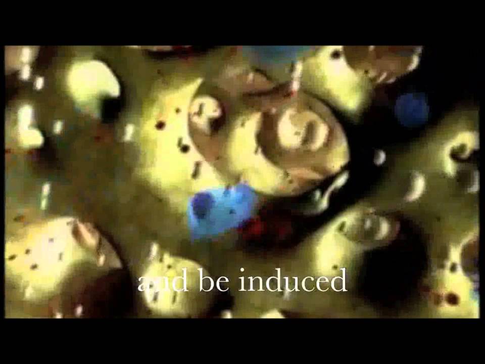 MM010 stamcelonderzoek