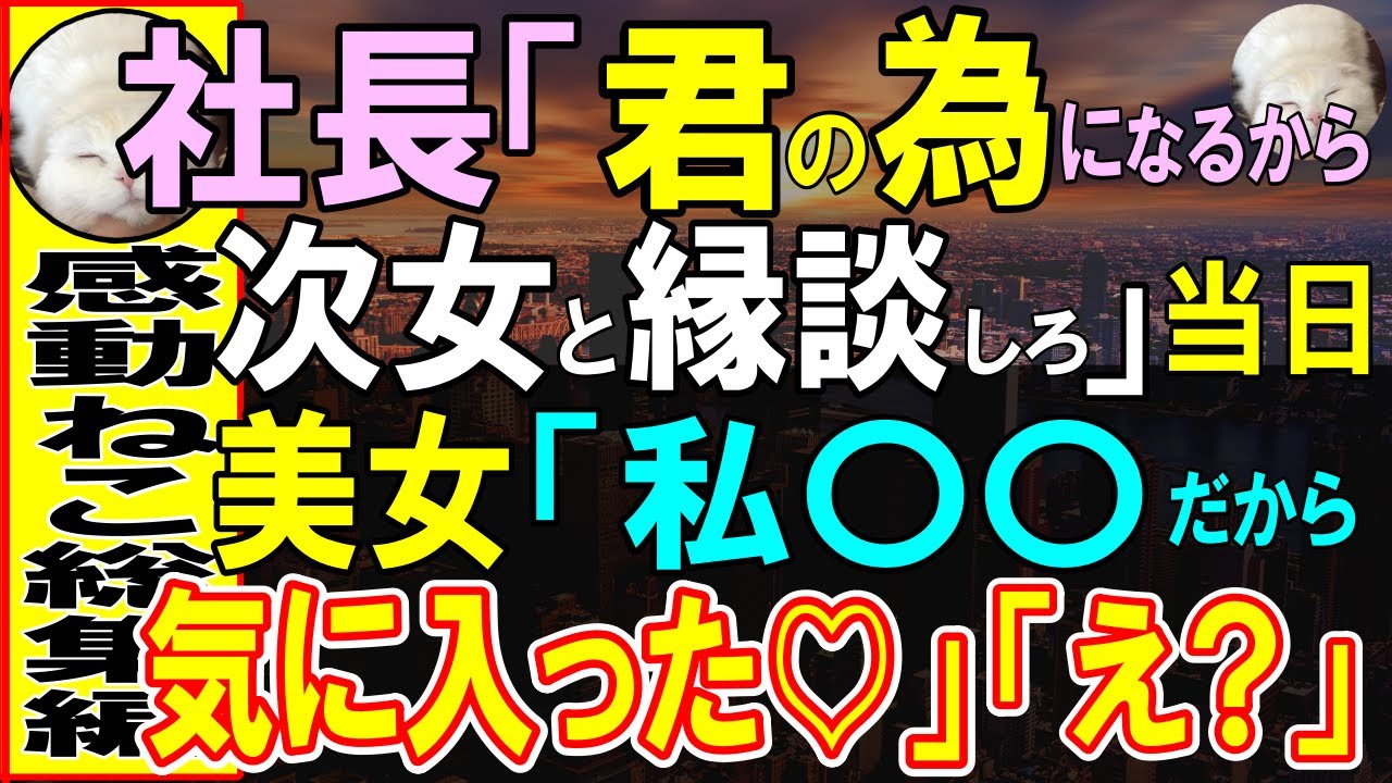 【感動する話】社長「娘と見合いしろ」→俺にメリットがあると言われるも、当日、社長令嬢「私の職業は…」衝撃の答えに絶句！気に入られてしまった結果…【いい話・泣ける話・朗読】