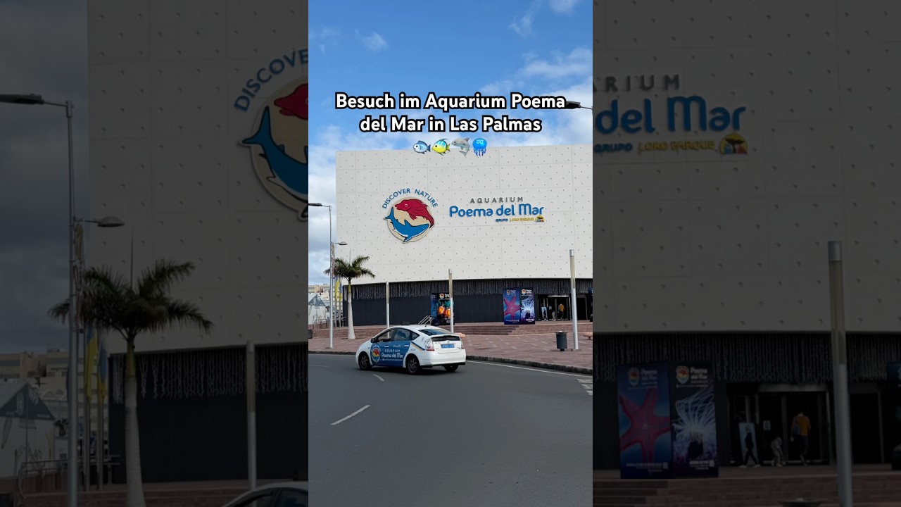 Impressionen aus dem Aquarium Poema del Mar in Las Palmas 