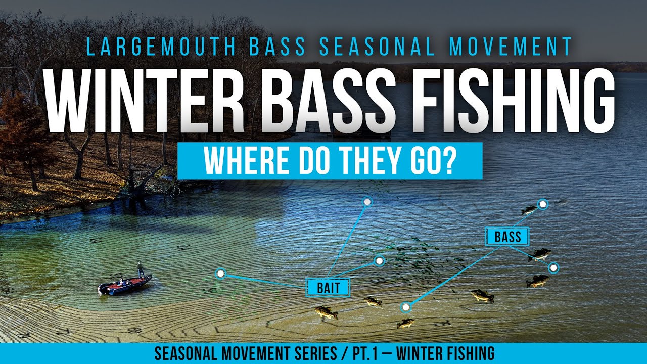 WINTER BASS FISHING &ndash; Understanding BASS MOVEMENT in the WINTER ❄️🥶