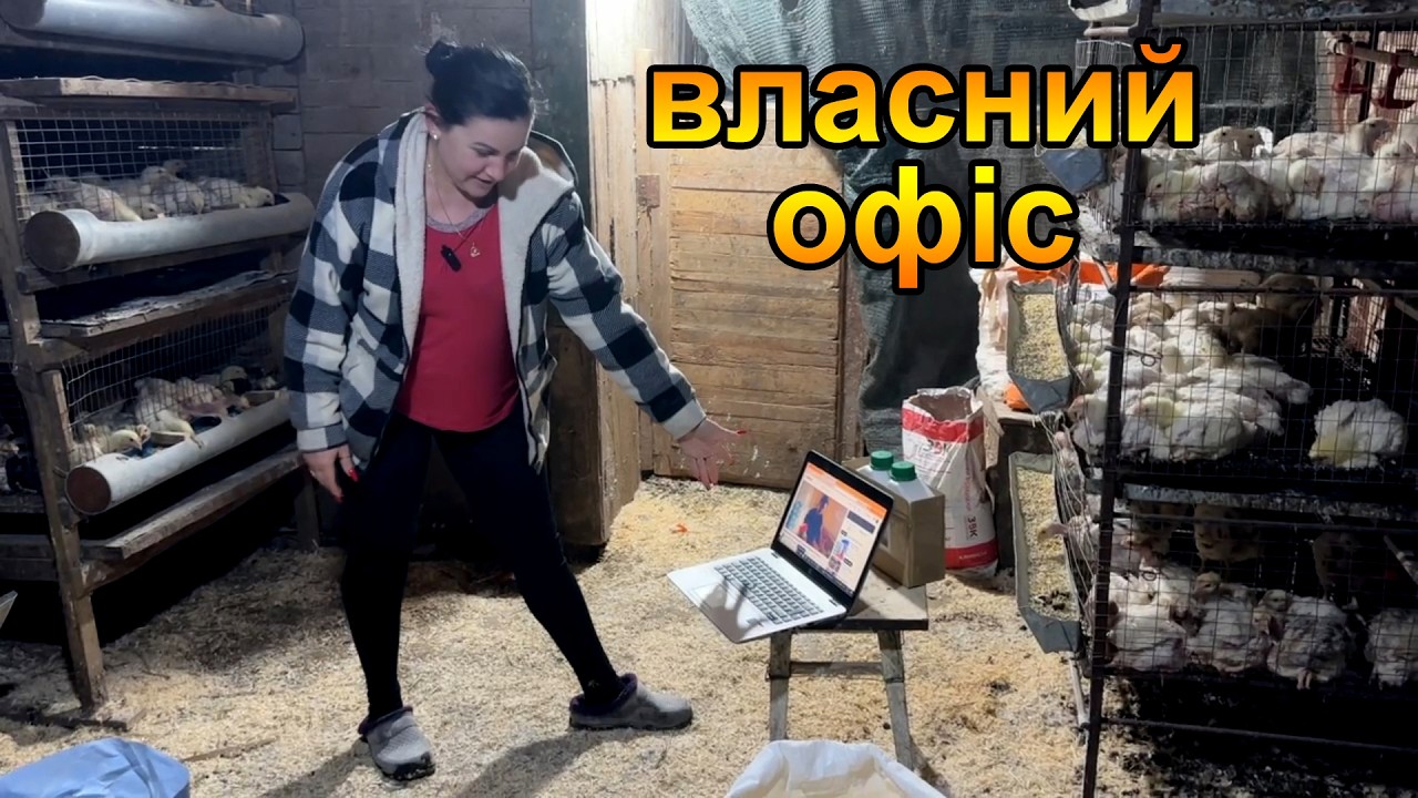 Відкрила ФОП, що маю в сараї та які плани. Розіграш Кроноцид