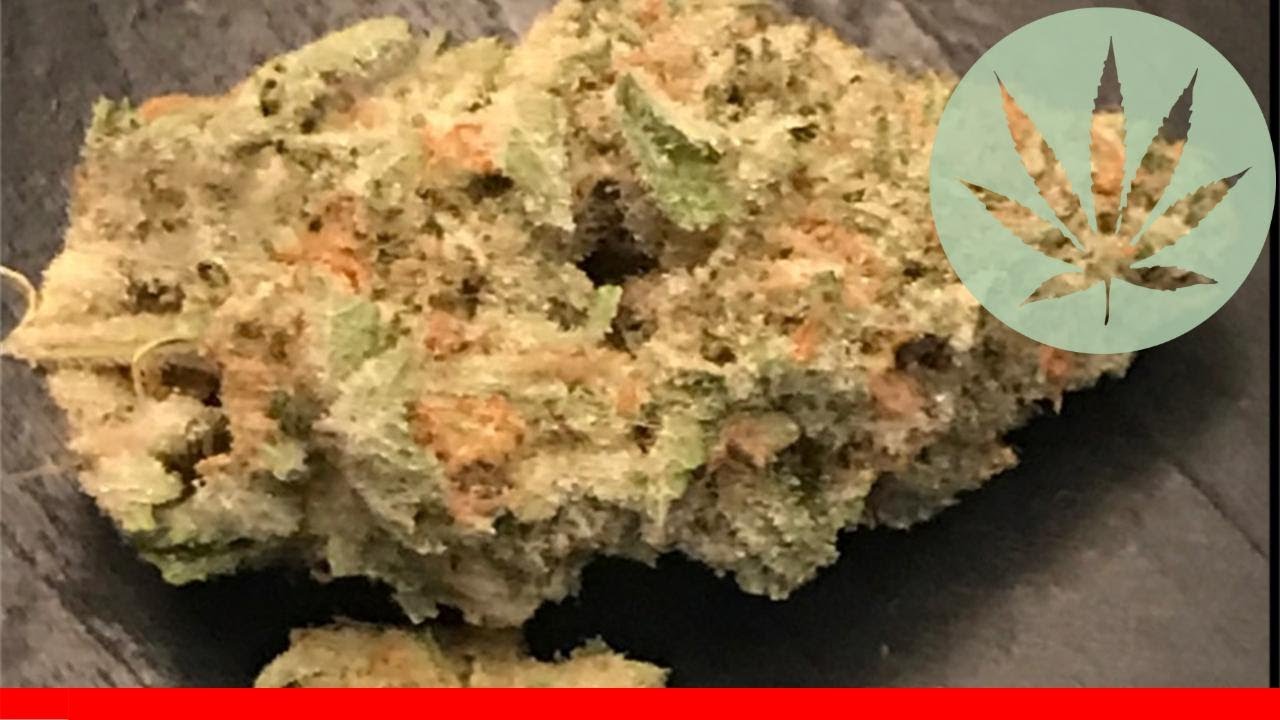 Nightmare Cookies - All About This Strain