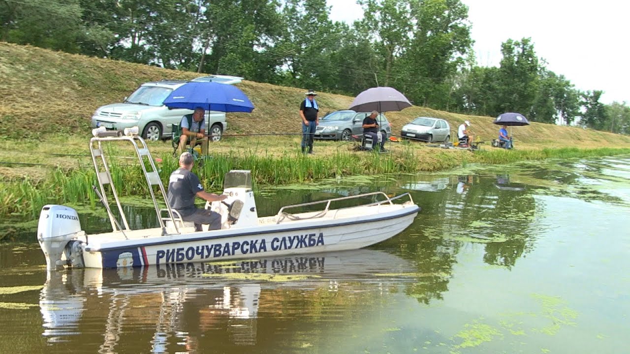 Ribolov na kanalima Dunav-Tisa-Dunav - Ribočuvarska služba JVP 