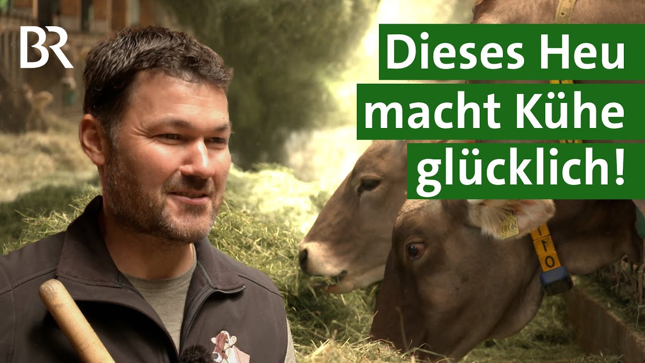 Hochwertiges Heu, gesunde Kühe, mehr Milch: Die moderne Heutrocknung | Heumilch | Unser Land | BR
