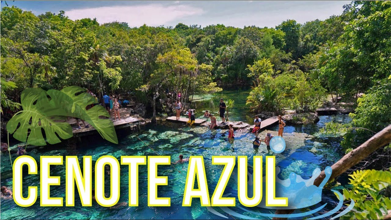 Cenote Azul 🔵 Riviera Maya México Quintana Roo Playa Del Carmen 📍