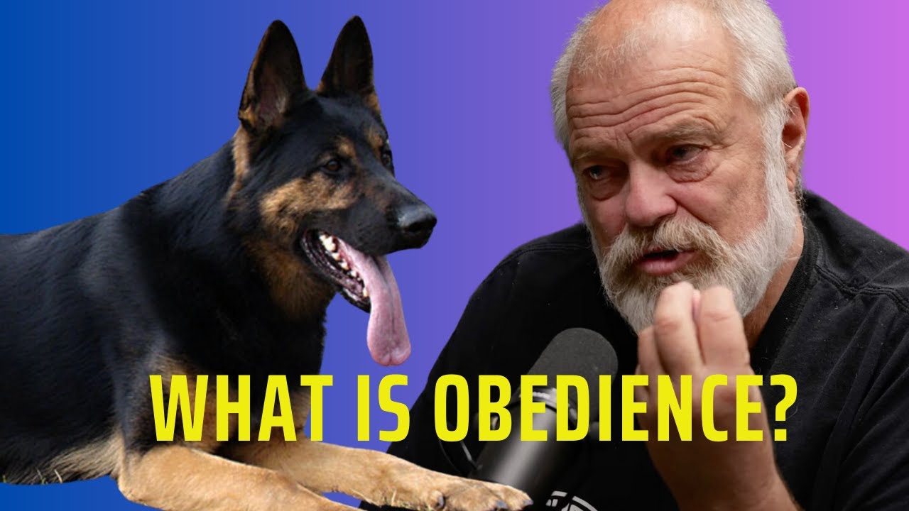 What Is Dog Obedience