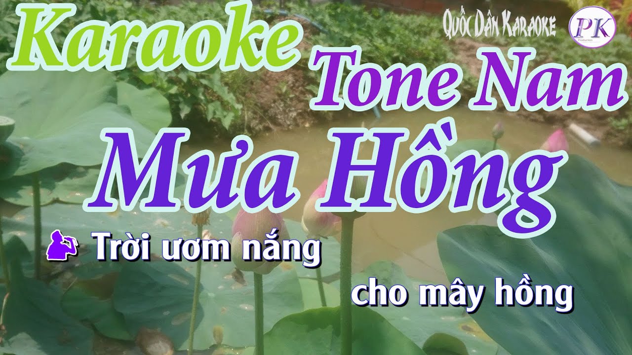 Karaoke Mưa Hồng | Bossa Nova | Tone Nam (C) | Quốc Dân Karaoke