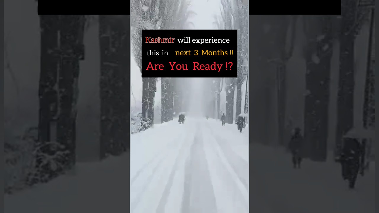 Are You Ready ⁉️ 