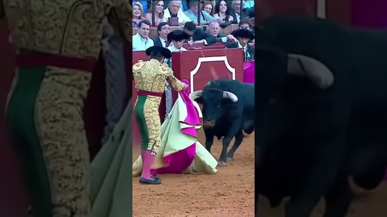 Morante, y nada m&aacute;s. El sevillano borda el toreo de capa a una mano en la maestranza. #toro