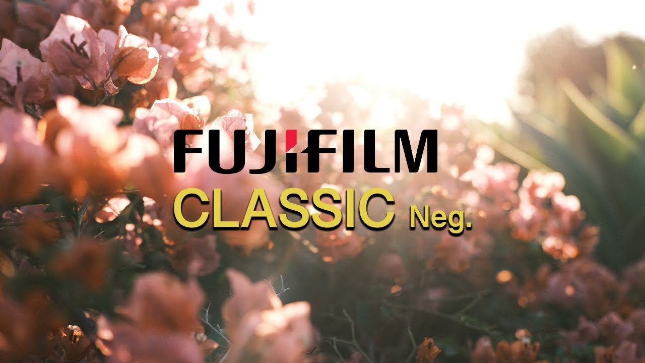 FUJIFILM Classic Negative &mdash; насколько он хорош?