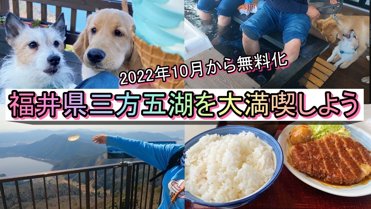 【福井】味ヨシ！景色ヨシ！犬もヨシ！福井県三方五湖を遊びつくす【観光】