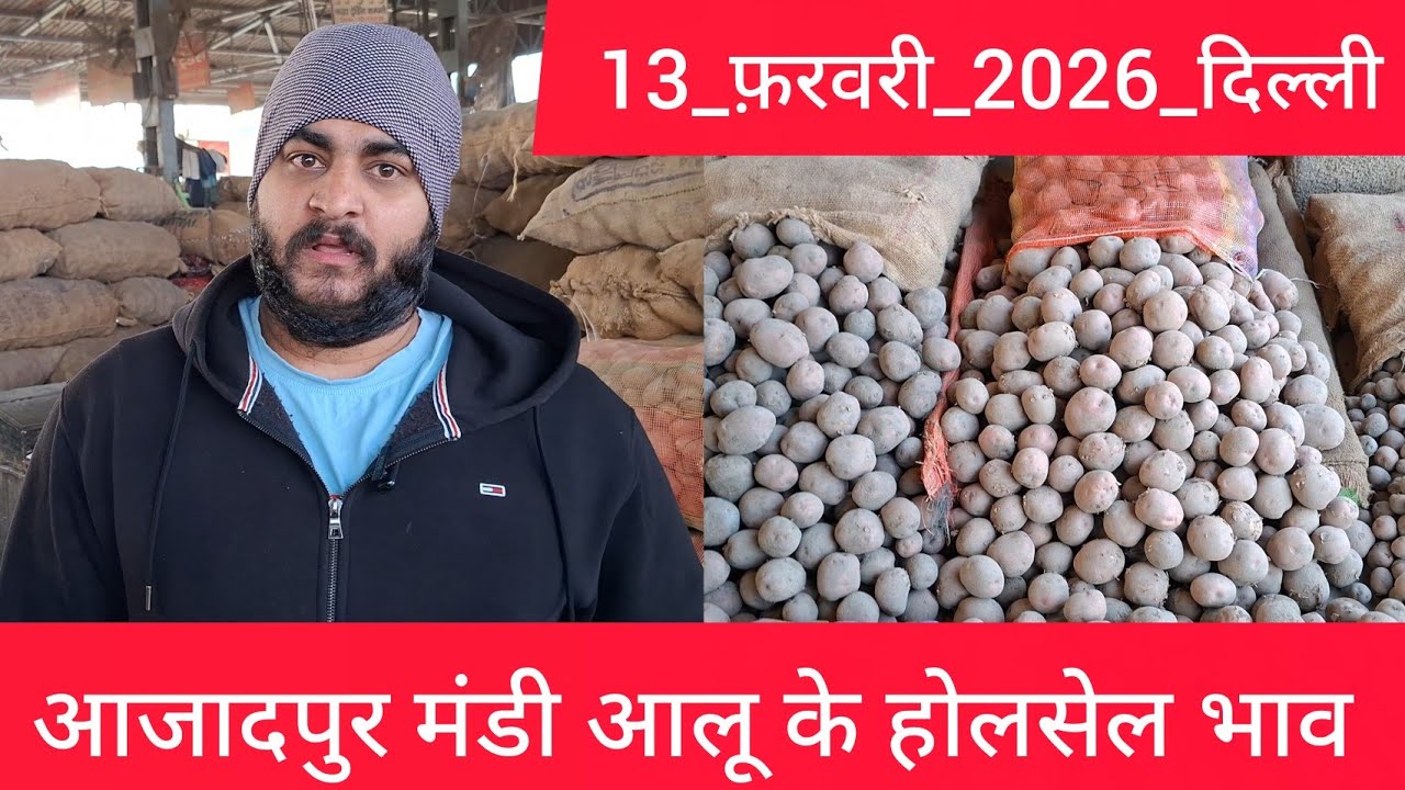 13 February 2026 दिल्ली 🥔आलू के भाव Azadpur Delhi mandi today #PotatoMarket #delhipotatomarket 