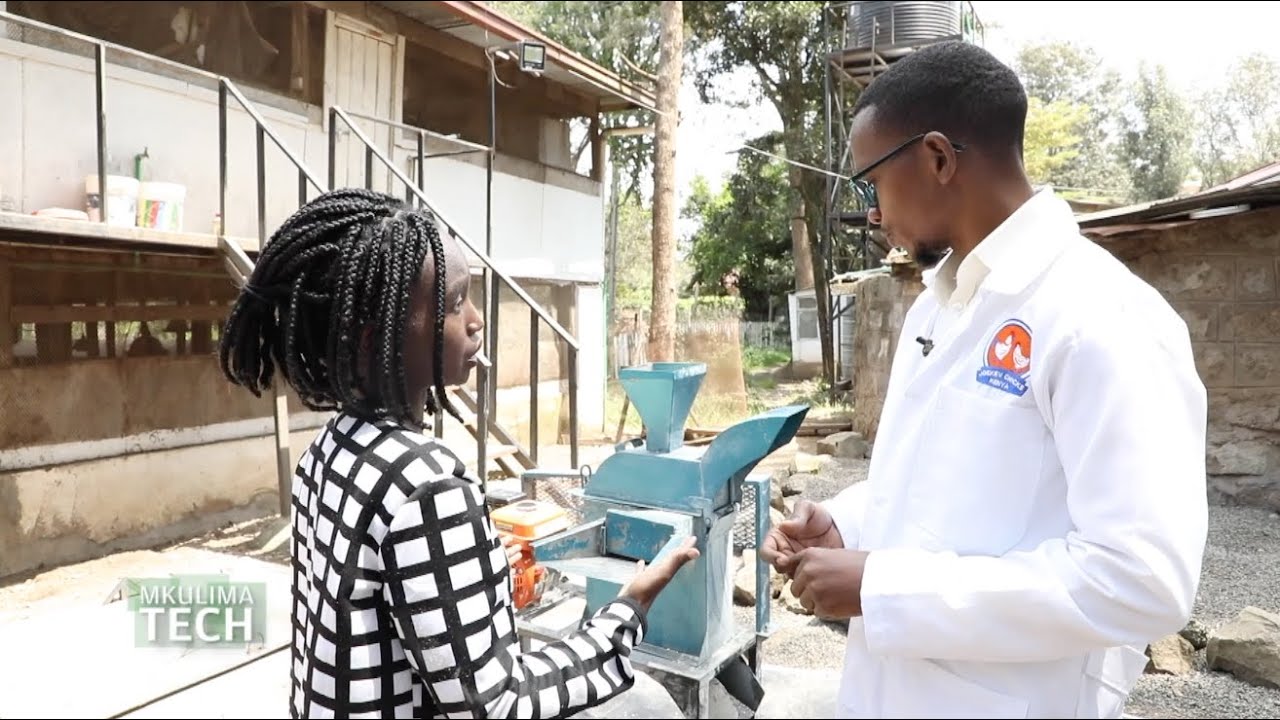 Save your cost of animal feeds by making your own - Mkulimatech