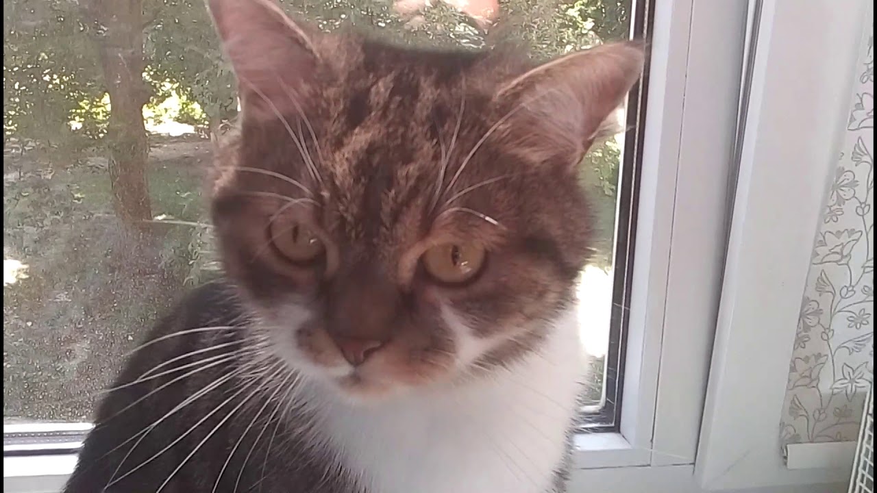 Santin S6 Video-foto test