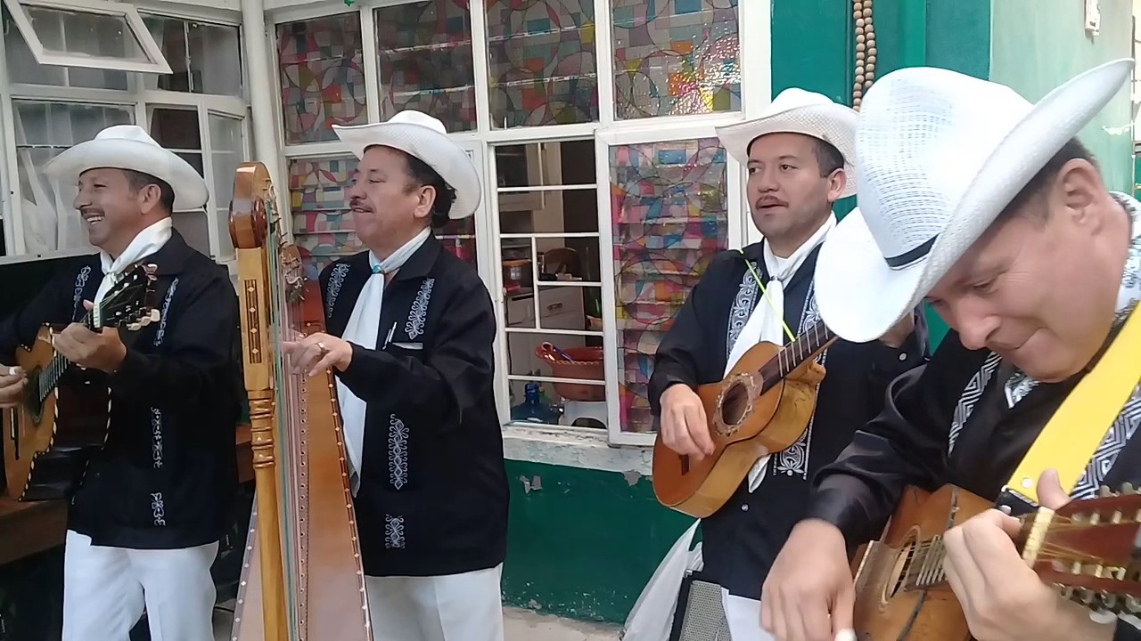 Jarochos en Ciudad de México