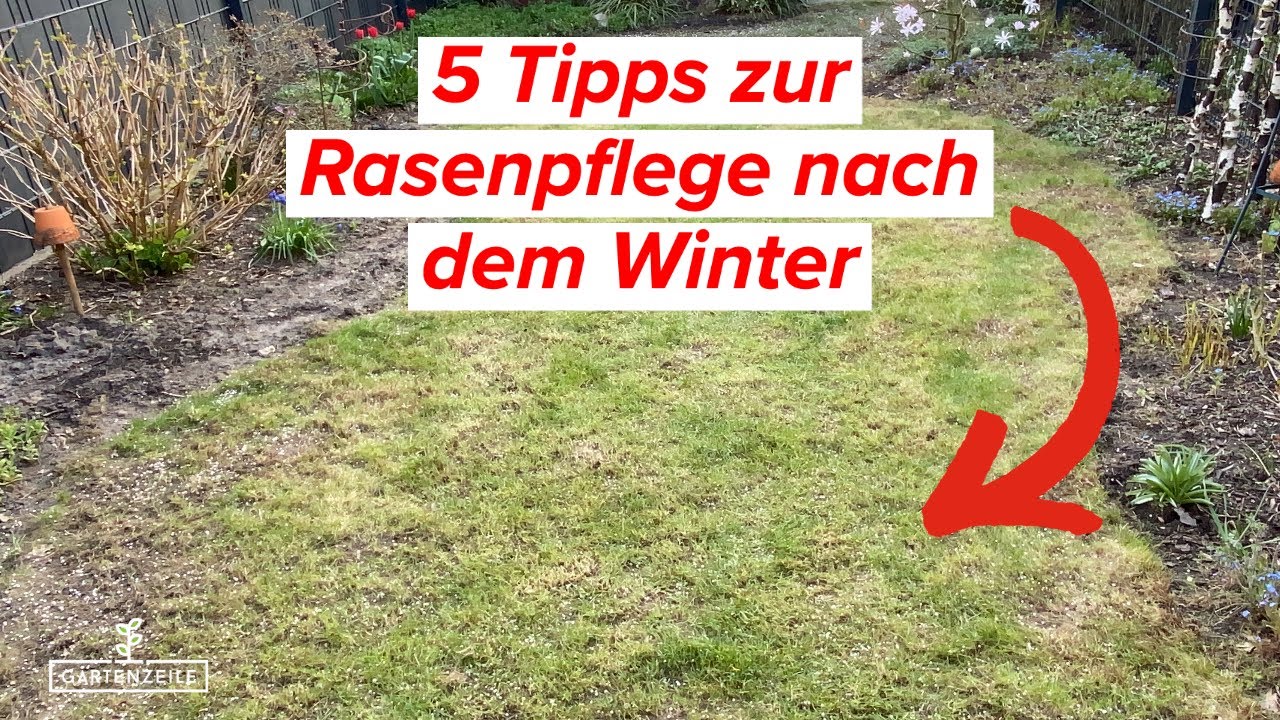 5 Tipps f&uuml;r die Rasenpflege nach dem Winter! Das solltest du unbedingt beachten!