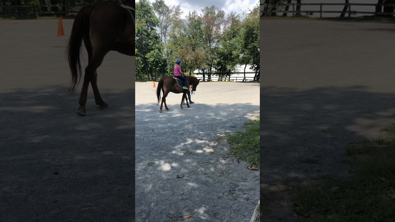 Rides exactly four years apart!