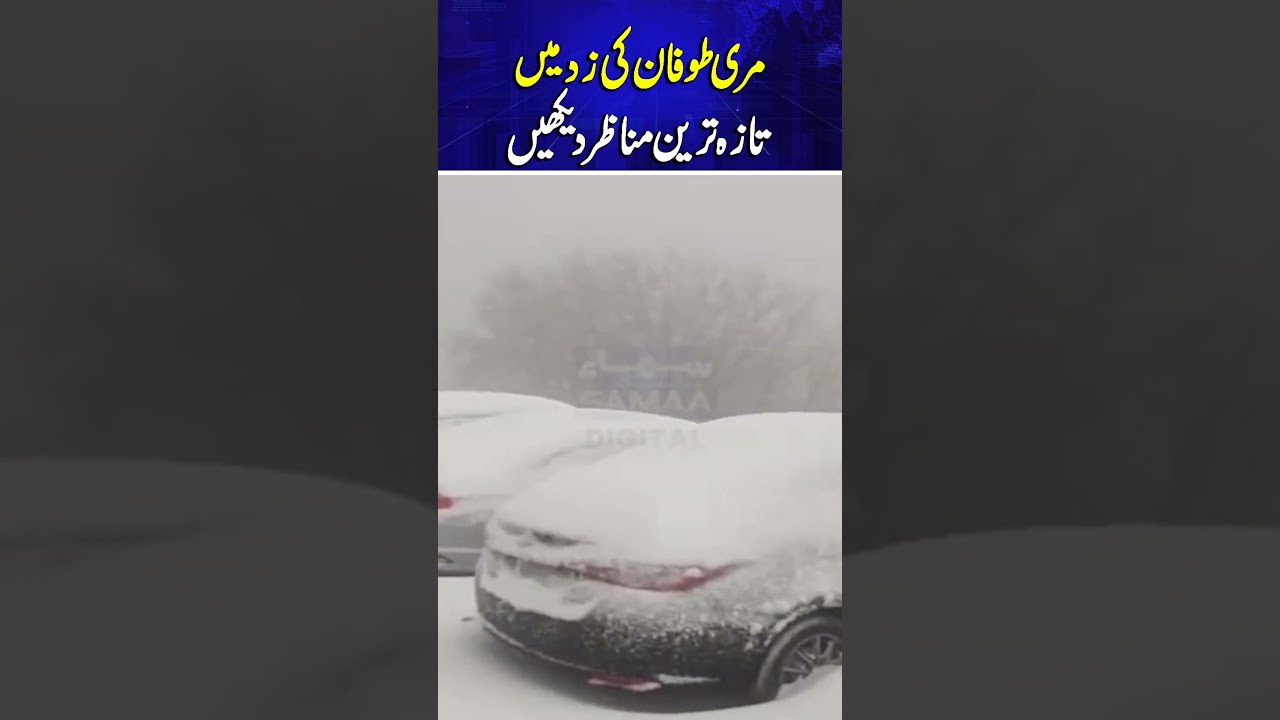 Murree Hit by Severe Storm | Latest Scenes | Samaa TV