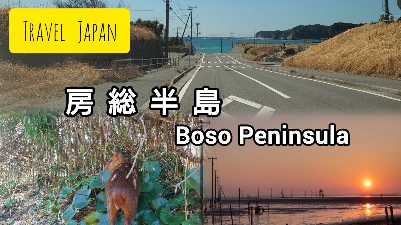 【Chiba(Boso Peninsula)】It's spring so I went out【English and Japanese Sub】