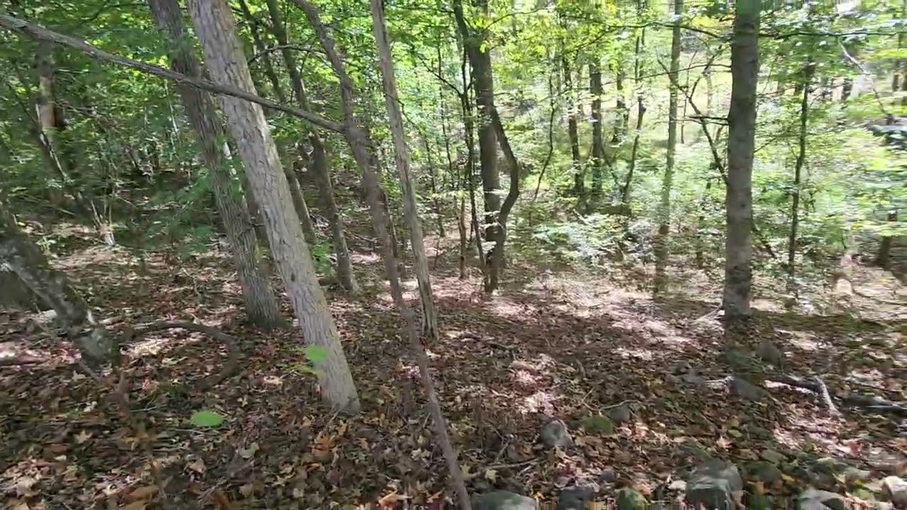1312 Sweetwater parcel 2